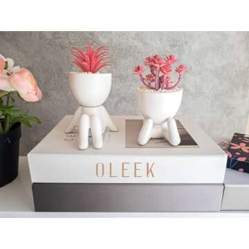 OLEEK Small Fake Plant Office Decor for Women -Pink Gifts for Women - Cute Office Decor for Women - Pink Decor for Office Decorations - Succulents Fake Plants for Shelf Decor - Pink Office Supplies