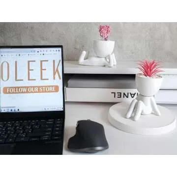 OLEEK Small Fake Plant Office Decor for Women -Pink Gifts for Women - Cute Office Decor for Women - Pink Decor for Office Decorations - Succulents Fake Plants for Shelf Decor - Pink Office Supplies