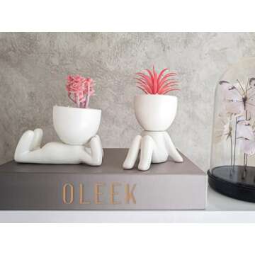 OLEEK Small Fake Plant Office Decor for Women -Pink Gifts for Women - Cute Office Decor for Women - Pink Decor for Office Decorations - Succulents Fake Plants for Shelf Decor - Pink Office Supplies
