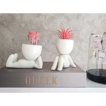 OLEEK Small Fake Plant Office Decor for Women -Pink Gifts for Women - Cute Office Decor for Women - Pink Decor for Office Decorations - Succulents Fake Plants for Shelf Decor - Pink Office Supplies