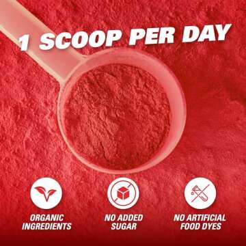 EHP Labs OxyReds Superfood Beets Powder - Nitric Oxide Supplement, Organic Beet Root Powder, Immune Support Supplement & Prebiotics for Digestive Health, Beet Powder - Forest Berries, 30 Servings