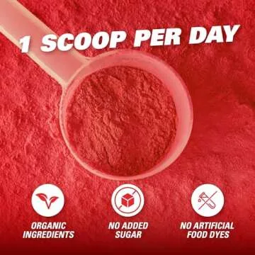 EHP Labs OxyReds Superfood Beets Powder - Nitric Oxide Supplement, Organic Beet Root Powder, Immune Support Supplement & Prebiotics for Digestive Health, Beet Powder - Forest Berries, 30 Servings