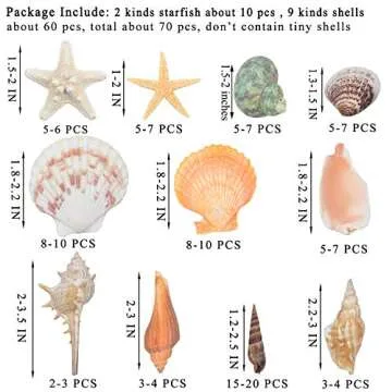 Sea Shells Mixed Beach Seashells 9 Kinds 1.2"-3.5 "Various Sizes Natural Seashells and 2 Kinds of Na...