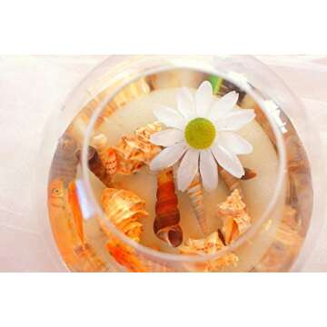 Sea Shells Mixed Beach Seashells 9 Kinds 1.2"-3.5 "Various Sizes Natural Seashells and 2 Kinds of Natural Starfish for Beach Themed Party DIY Crafts Fishtank Vase Fillers Home Wedding Decorations