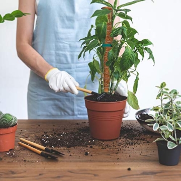 Pickei Coir Moss Pole - 26.7 Inches Coco Coir Poles with Gardening Tool Set and 78 Inches Garden Ties - 2 Natural Coir Moss Sticks for Climbing Plant Support Extension 3