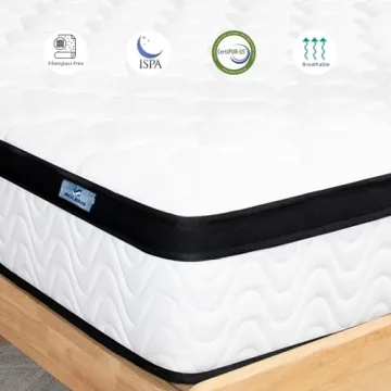 MOLBIUS Queen 10 Inch Hybrid Mattress | Comfort & Support
