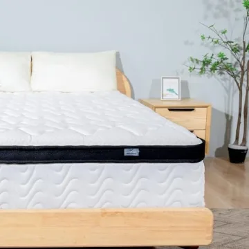 MOLBIUS Queen 10 Inch Hybrid Mattress | Comfort & Support
