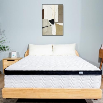MOLBIUS Queen 10 Inch Hybrid Mattress | Comfort & Support