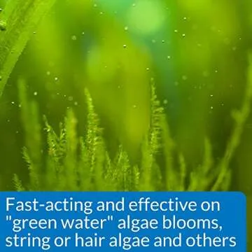API ALGAEFIX 8-Ounce Bottle