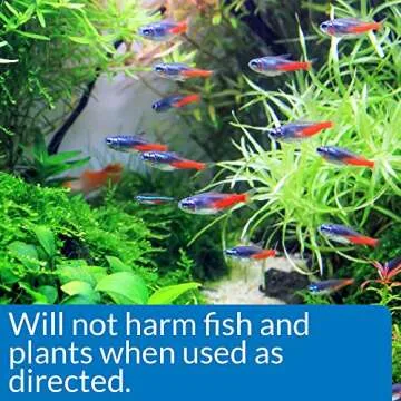 API ALGAEFIX 8-Ounce Bottle