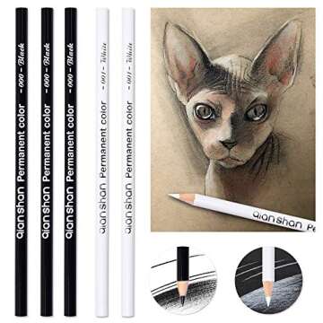 qianshan 5Pcs Black White Color Pencils - Permanent Color Drawing Pencil Oil-based Wooden Colored Pencils for Artist and Beginner Art Projects, 2 Colors of 3 Black, 2White