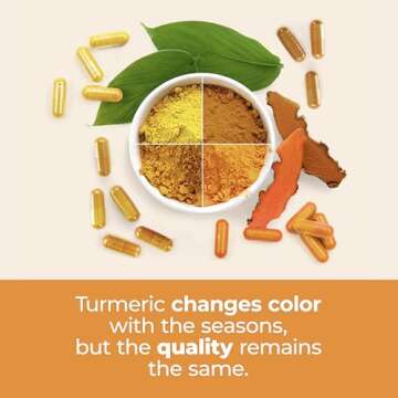 High Potency Turmeric Curcumin Supplement for Joint Health