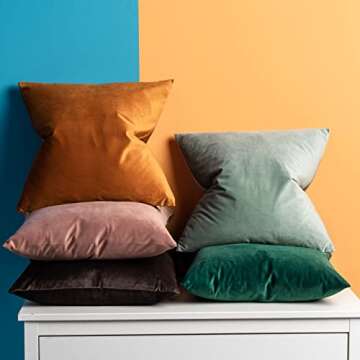 JUSPURBET Euro Jam Velvet Throw Pillow Covers 26x26 Set of 2,Decorative Solid Soft Cushion Cases for Couch Sofa Bed