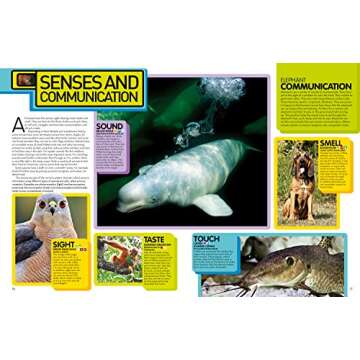 National Geographic Animal Encyclopedia: 2,500 Animals with Photos, Maps, and More!
