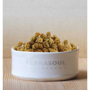Terrasoul Organic Dried Mulberries - Healthy Sweet Snack