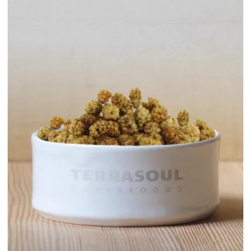 Terrasoul Organic Dried Mulberries - Healthy Sweet Snack