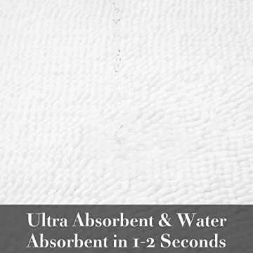 SONORO KATE Bathroom Rug,Non-Slip Bath Mat,Soft Cozy Shaggy Thick Bath Rugs for Bathroom,Plush Rugs for Bathtubs,Water Absorbent Rain Showers and Under The Sink (White, 17"×24")