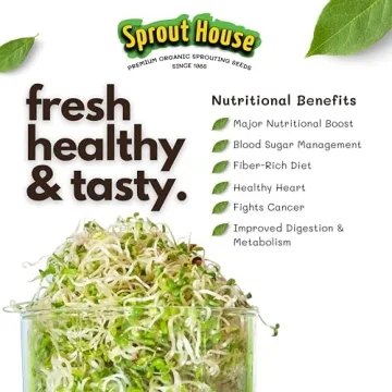 Sprout House Organic Salad Mix - Easy to Grow & Delicious
