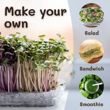 Sprout House Organic Salad Mix - Easy to Grow & Delicious