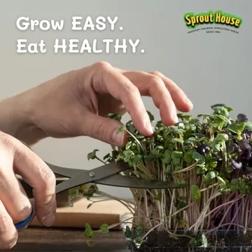 Sprout House Organic Salad Mix - Easy to Grow & Delicious