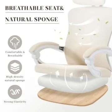 Ergonomic Office Chair with Lumbar Support