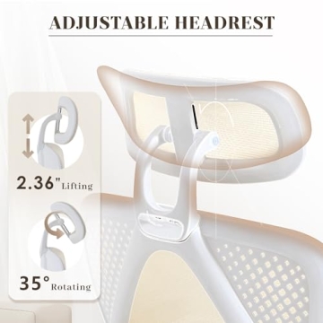 Ergonomic Office Chair with Lumbar Support