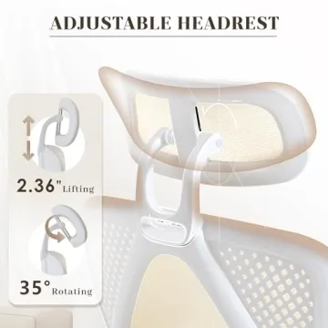 Ergonomic Office Chair with Lumbar Support