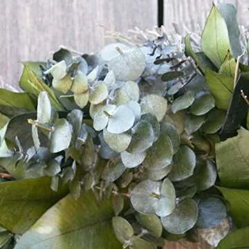 ANDALUCA 20" Preserved Eucalyptus Wreath for Home