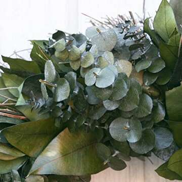ANDALUCA 20" Preserved Eucalyptus Wreath for Home