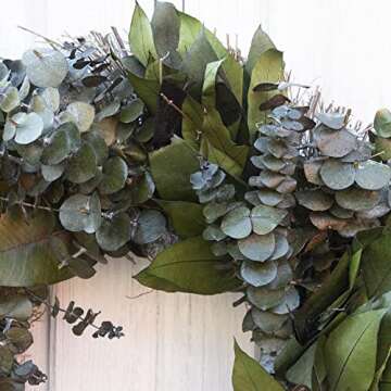 ANDALUCA 20" Preserved Eucalyptus Wreath for Home