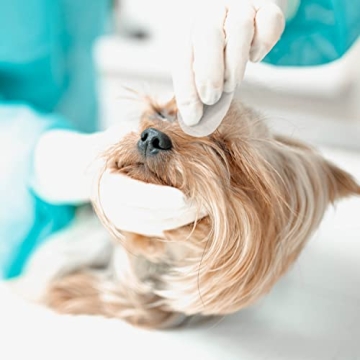 Eye Envy Tear Stain Wipes for Dogs - Natural & Safe Cleaning