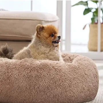 Bedsure Calming Dog Bed for Small Dogs - Plush Donut Design
