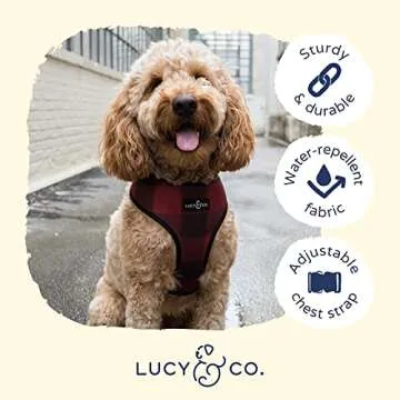 Cute Reversible Dog Harness Walking Halter - Best Designer Pet Harnesses for Medium Dogs - Padded Adjustable Vest for Easy Walking (X-Small, Holly Jolly)