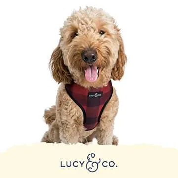 Cute Reversible Dog Harness Walking Halter - Best Designer Pet Harnesses for Medium Dogs - Padded Adjustable Vest for Easy Walking (X-Small, Holly Jolly)