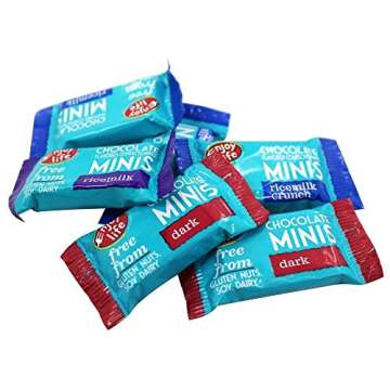 Enjoy Life Allergy Friendly Holiday Chocolate Squares Variety Pack - 6.3 oz (18 Individually Wrapped Squares)