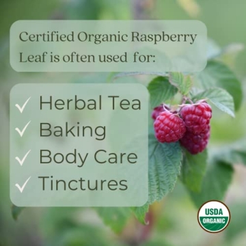 Organic Raspberry Leaf Tea for Wellness and Pregnancy Support