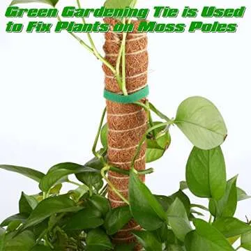 Moss Pole for Monstera 2Pcs 15.7 Inch Plants Stake Indoor Coir Moss Sticks Plant Support Pole with Garden Tie for Climbing Plant Support Extension Used to Make Many Handicrafts