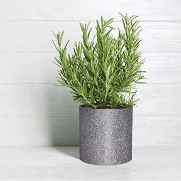 Stylish 10 Inch Round Terrazzo Planter Pot for Indoor Use