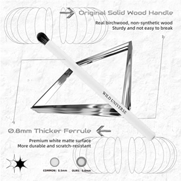 Wild Universe Eye Brushes Set for Flawless Makeup