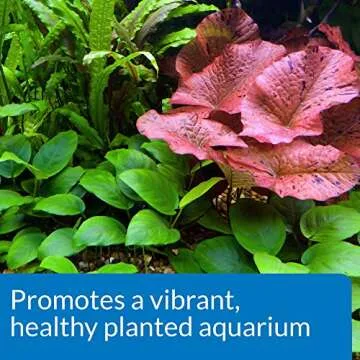 API CO2 Booster Freshwater Plant Treatment 16 oz Bottle