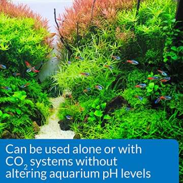 API CO2 Booster Freshwater Plant Treatment 16 oz Bottle