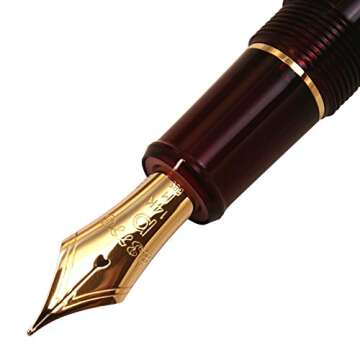 PNB-10000#71 Platinum "#3776 CENTURY/Bourgogne"(nib : Medium)