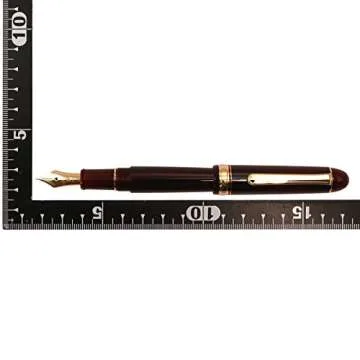 PNB-10000#71 Platinum "#3776 CENTURY/Bourgogne"(nib : Medium)