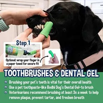 Bodhi Dog Finger Toothbrush for Dogs & Cats - Puppy Toothbrush with Soft Flexible Silicone Bristles, Gentle for Sensitive Gums, Promotes Healthy Teeth & Gums, Easy Teeth Cleaning Tool (50 Count)