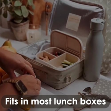 Ali+Oli Silicone Bento Box - BPA-Free for Kids and Adults