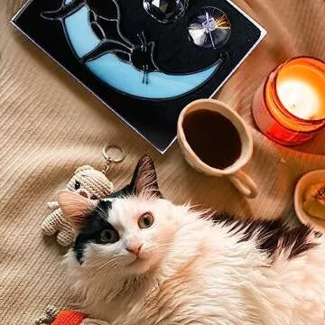 AXLISAT Black Cat Moon Stained Glass Suncatcher