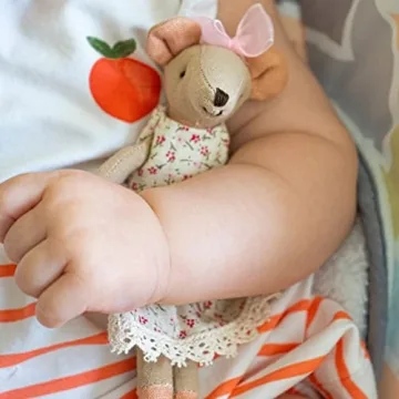 Mom and Dad Mouse in a Box for Enchanting Playtime