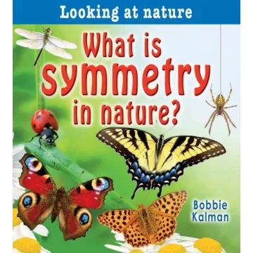 What Is Symmetry in Nature? A Colorful Exploration for Kids