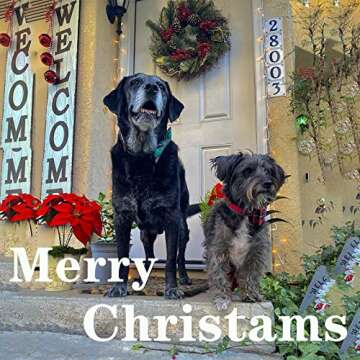 USP Pet Soft&Comfy Bowtie Dog Collar and Cat Collar Pet Gift for Dogs and Cats Adjustable Pure Cotton Collars 6 Sizes and 5 Patterns