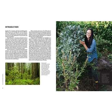 Beginner's Guide to Layered Edible Gardens